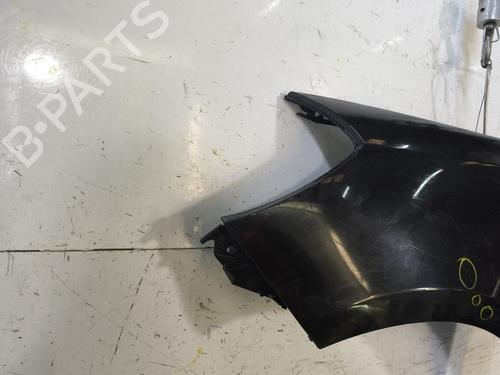 Left front fenders RENAULT CLIO III (BR0/1, CR0/1) 1.2 16V (BR02, BR0J, BR11, CR02, CR0J, CR11) | BP29869200C41