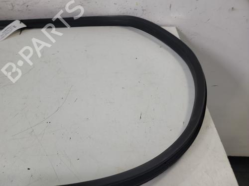 Rubber door seal RENAULT SCENIC E-TECH PHASE I EV87 | BP28064861C142 