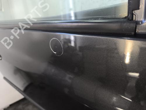 Right front door RENAULT CLIO III (BR0/1, CR0/1) 1.5 dCi (C/BR0G, C/BR1G) | BP29980523C3