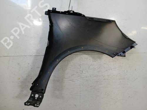 Left front fenders RENAULT SCÉNIC III (JZ0/1_) 1.5 dCi | BP29619315C41 