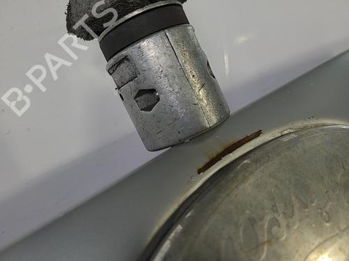 Hood FORD TRANSIT CONNECT (P65_, P70_, P80_) 1.8 TDCi | BP22828558C1