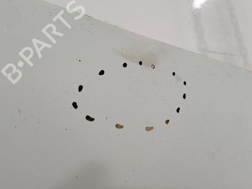 Hood RENAULT RAPID Box Body/MPV (F40_, G40_) 1.9 D (F40R) | BP22818436C1