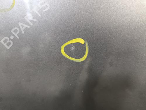 Right rear door RENAULT SCÉNIC III (JZ0/1_) 1.5 dCi | BP29869057C5 