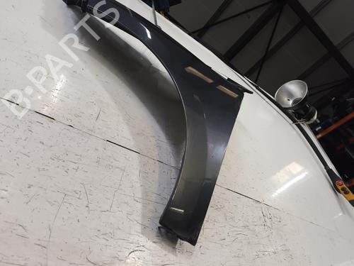 Błotnik przedni lewy RENAULT MEGANE III Hatchback (BZ0/1_, B3_) 1.5 dCi (BZ09, BZ0D, BZ1W, BZ29, BZ14) | BP29894138C41