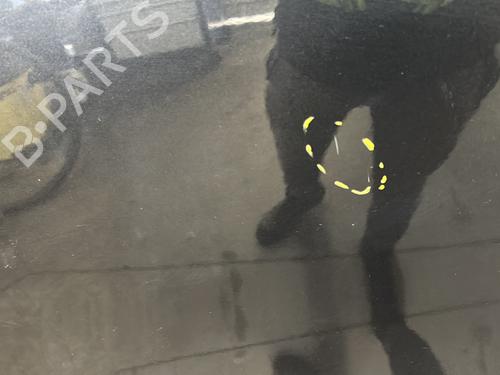 Used Left front door Left front door FIAT 500L (351_, 352_) 1.3 D Multijet (199.LYM11, 199.LYM1A) (95 hp) 34260476 34260476