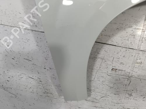 Right front fenders FIAT PANDA (312_, 319_) 1.2 (312PXA1A) | BP30162442C42