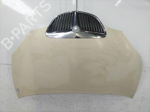 Used Hood LANCIA YPSILON (843_) 1.4 16V (843.AXC11, 843.AXC1B, 843.AXC1A) (95 hp) 31582062