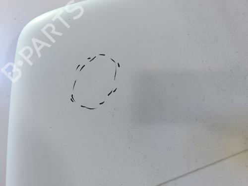 Left tailgate RENAULT MASTER II Van (FD) 2.2 dCI 90 (FD0G, FD0N, FD2G, FD2N, FD3G, FD3N) | BP29466524C76 