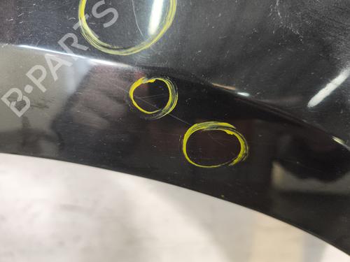 Left front fenders RENAULT CLIO III (BR0/1, CR0/1) 1.2 16V (BR02, BR0J, BR11, CR02, CR0J, CR11) | BP29869200C41