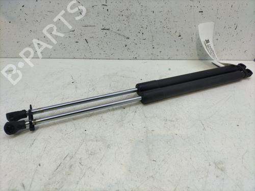 Tailgate lift support RENAULT CLIO III (BR0/1, CR0/1) 1.5 dCi | BP27707806C138 