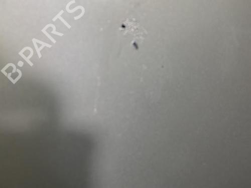Used Hood RENAULT CLIO III (BR0/1, CR0/1) 1.5 dCi (C/BR0G, C/BR1G) (68 hp) 22843204