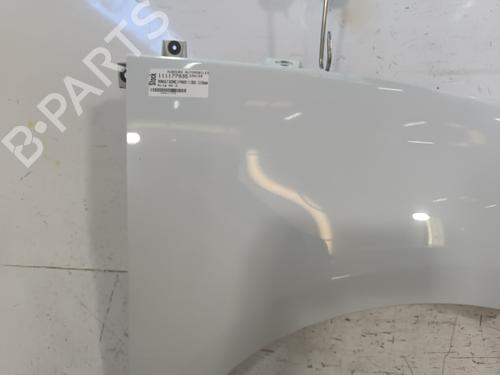 Right front fenders RENAULT SCÉNIC III (JZ0/1_) 1.5 dCi | BP28525890C42