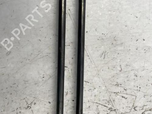 Tailgate lift support PEUGEOT 208 I (CA_, CC_) 1.4 HDi | BP22834106C138