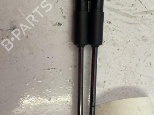 Hood lift support RENAULT TRAFIC III Van (FG_) 2.0 dCi 120 (FGMN) | BP22844681C139