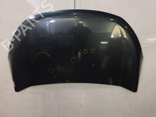 hood-dacia-lodgy-js_-2012-32078345 main image