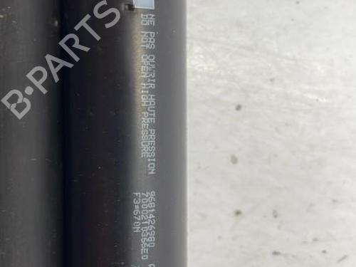 Tailgate lift support CITROËN BERLINGO MULTISPACE (B9) 1.6 HDi 90 | BP22833459C138 