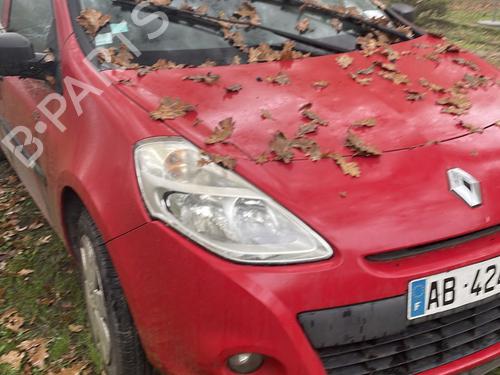 Hood RENAULT CLIO III (BR0/1, CR0/1) 1.5 dCi (C/BR0G, C/BR1G) | BP22844534C1