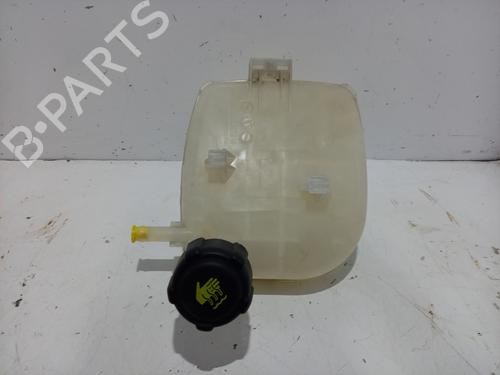 Ekspansjonstank RENAULT TWINGO II (CN0_) 1.2 (CN0D) (58 hp) 31250825