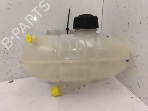 Used Expansion tank RENAULT TRAFIC III Van (FG_) 1.6 dCi 115 (FGMD) (116 hp) 25204869