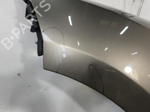 Left front fenders RENAULT MEGANE III Hatchback (BZ0/1_, B3_) 1.5 dCi (BZ0C) | BP29377277C41 