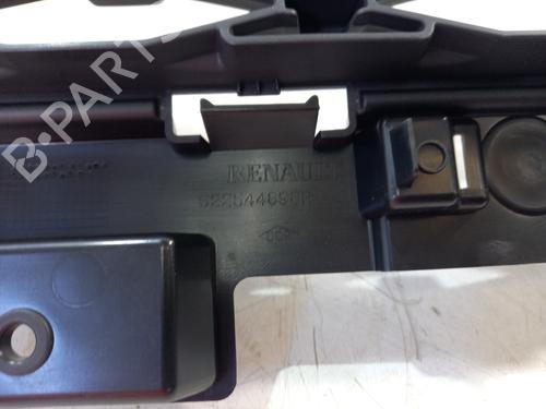 Grill RENAULT ZOE (BFM_) ZOE | BP29540863C40 - Image 3