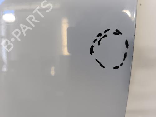 Left front door RENAULT TRAFIC III Van (FG_) 1.6 dCi 140 (FGMA, FGMC) | BP29439148C2 
