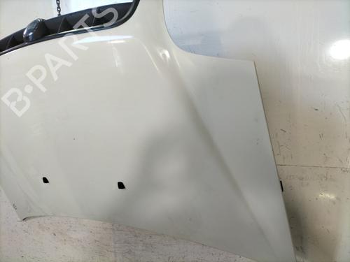 Hood FIAT DOBLO Box Body/MPV (223_) 1.3 JTD 16V | BP30451006C1 