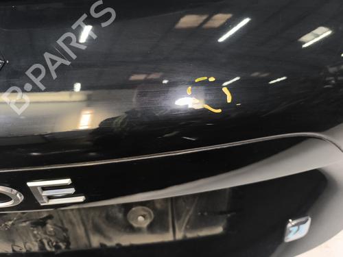 Tailgate RENAULT ZOE (BFM_) ZOE | BP29833913C6
