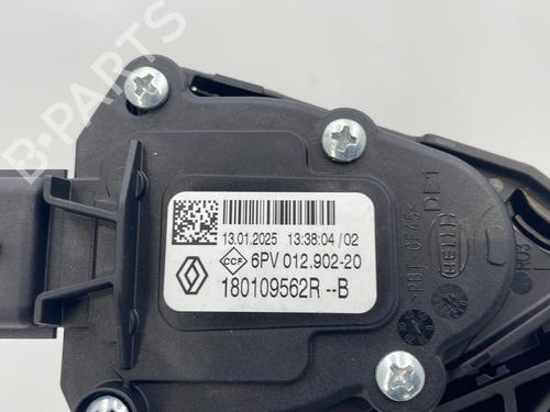 Pedal ALPINE A290 220 | BP31811988I4 - Image 5