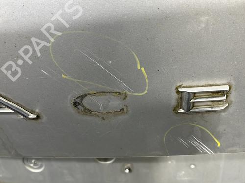 Tailgate RENAULT ESPACE IV (JK0/1_) 2.0 dCi (JK03, JK04, JK1C, JK1G, JK1J, JK1K) | BP28824258C6 