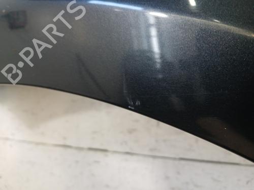 Left front fenders RENAULT CLIO III (BR0/1, CR0/1) 1.5 dCi (C/BR0G, C/BR1G) | BP29619343C41 
