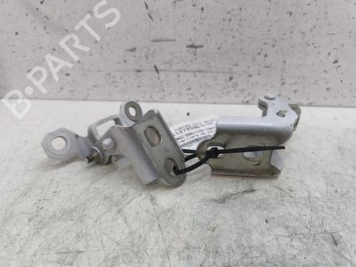 Hinge/Door check strap RENAULT SCÉNIC IV (J9_) 1.6 dCi 160 | BP28731322C146 