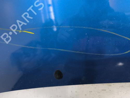 Hood RENAULT TWINGO II (CN0_) 1.5 dCi (CN0E) | BP29869078C1 