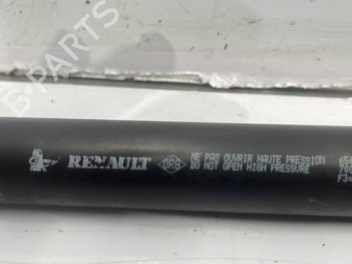 Hood lift support DACIA SANDERO II TCe 90 (B8M1, B8MA, B8AC) | BP22846066C139 