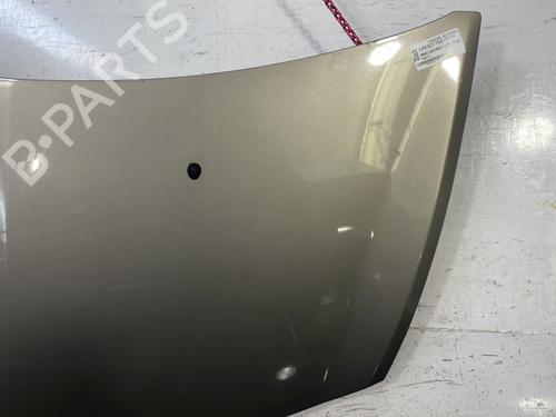 Hood RENAULT CLIO III (BR0/1, CR0/1) 1.5 dCi | BP25758095C1 