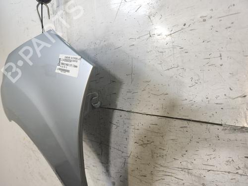 Left front fenders CITROËN C3 II (SC_) 1.2 VTi 82 | BP29869203C41
