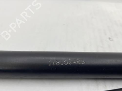 Tailgate lift support RENAULT TWINGO III (BCM_, BCA_) 1.0 SCe 65 (BCMJ) | BP31643195C138 