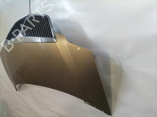 Hood LANCIA PHEDRA (179_) 2.0 JTD (179.AXH1B, 179.BXH1B) | BP28824249C1 