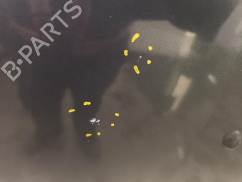 Panser Panser DACIA SANDERO [2008-2026] 34260875 34260875