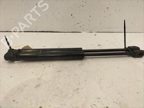Hood lift support LAND ROVER RANGE ROVER EVOQUE (L538) 2.0 D 4x4 | BP22846906C139 