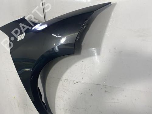 Right front fenders RENAULT MEGANE CC (EZ0/1_) 1.9 dCi (EZ0J, EZ1S) | BP29561914C42 
