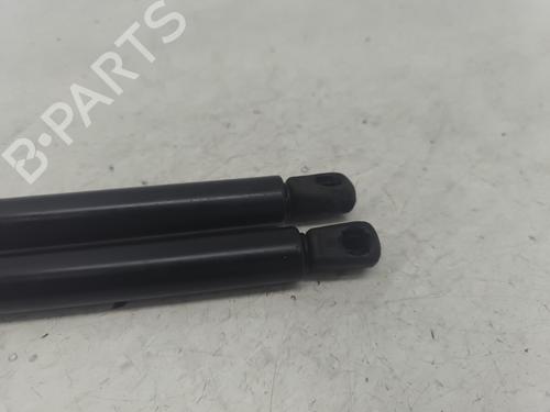 Tailgate lift support RENAULT KANGOO Express (FC0/1_) 1.5 dCi | BP32228327C138