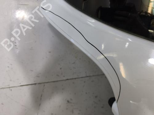 Tailgate RENAULT CLIO III (BR0/1, CR0/1) 1.5 dCi | BP29598735C6 