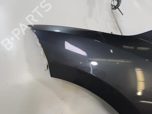Left front fenders RENAULT MEGANE III Hatchback (BZ0/1_, B3_) 1.5 dCi (BZ09, BZ0D, BZ1W, BZ29, BZ14) | BP29222462C41 