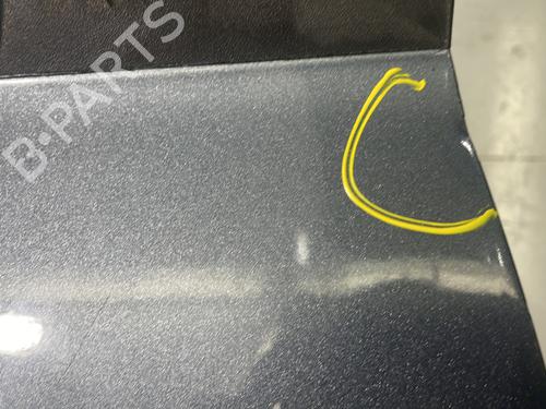 Left front door PEUGEOT 307 (3A/C) 1.6 HDi 110 | BP22846835C2 