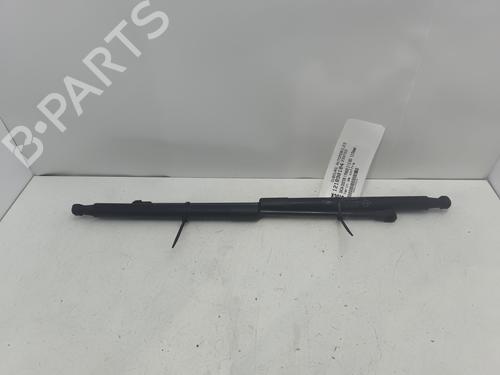 tailgate-lift-support-dacia-duster-hs_-2010-2011-2012-2013-2014-2015-2016-2017-2018-33205923 main image