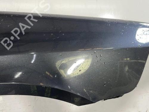 Used Right front fenders RENAULT LAGUNA II (BG0/1_) 1.9 dCi (BG1A, BG1W, BG0G) (110 hp) 22832715