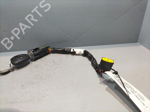 Ignition barrel DACIA LOGAN MCV (KS_) 1.5 dCi (KS0W) | BP29439093M48 