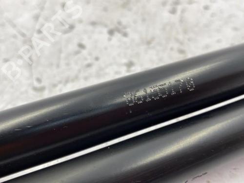 Used Tailgate lift support NISSAN QASHQAI I (J10, NJ10) 2.0 dCi All-wheel Drive (150 hp) 22834235