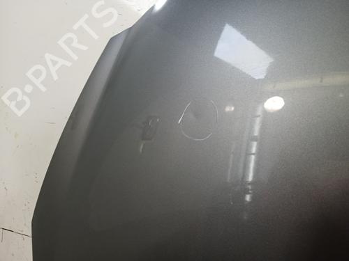 Hood PEUGEOT 206+ (2L_, 2M_) 1.4 HDi eco 70 | BP29833734C1